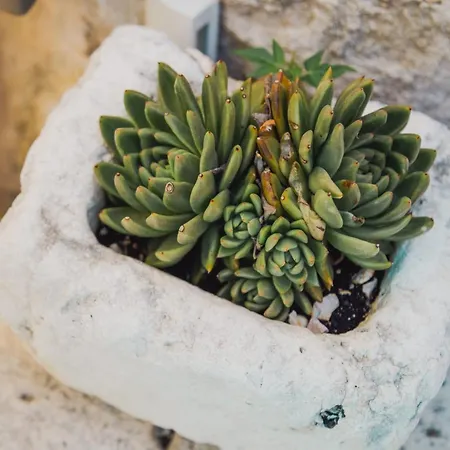 Apartamento & Kartolina