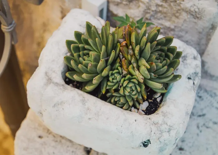 Apartamento & Kartolina